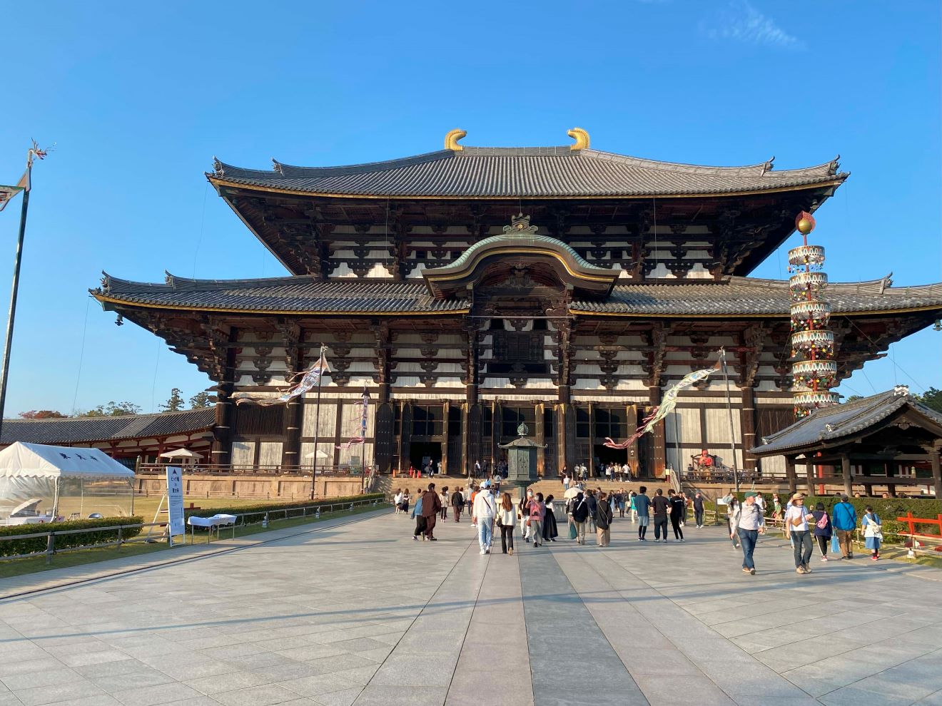 A Magical Day in Nara Nature Park, Japan