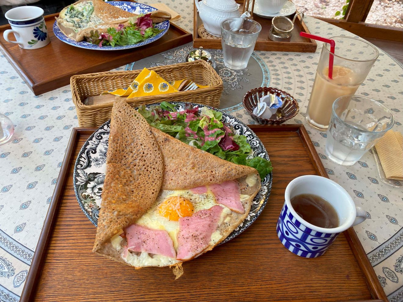 A Magical Day in Nara Nature Park, Japan
