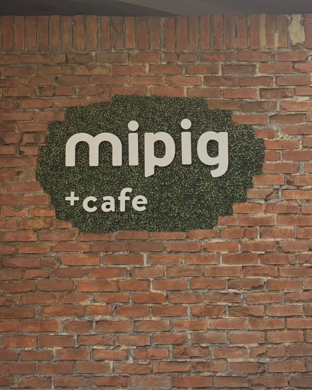 Reservation for an animal cafe experience in Japan